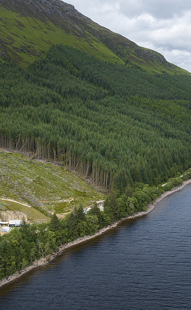 Aerial view of the Coire Glas site with the forest and the bank of the loch